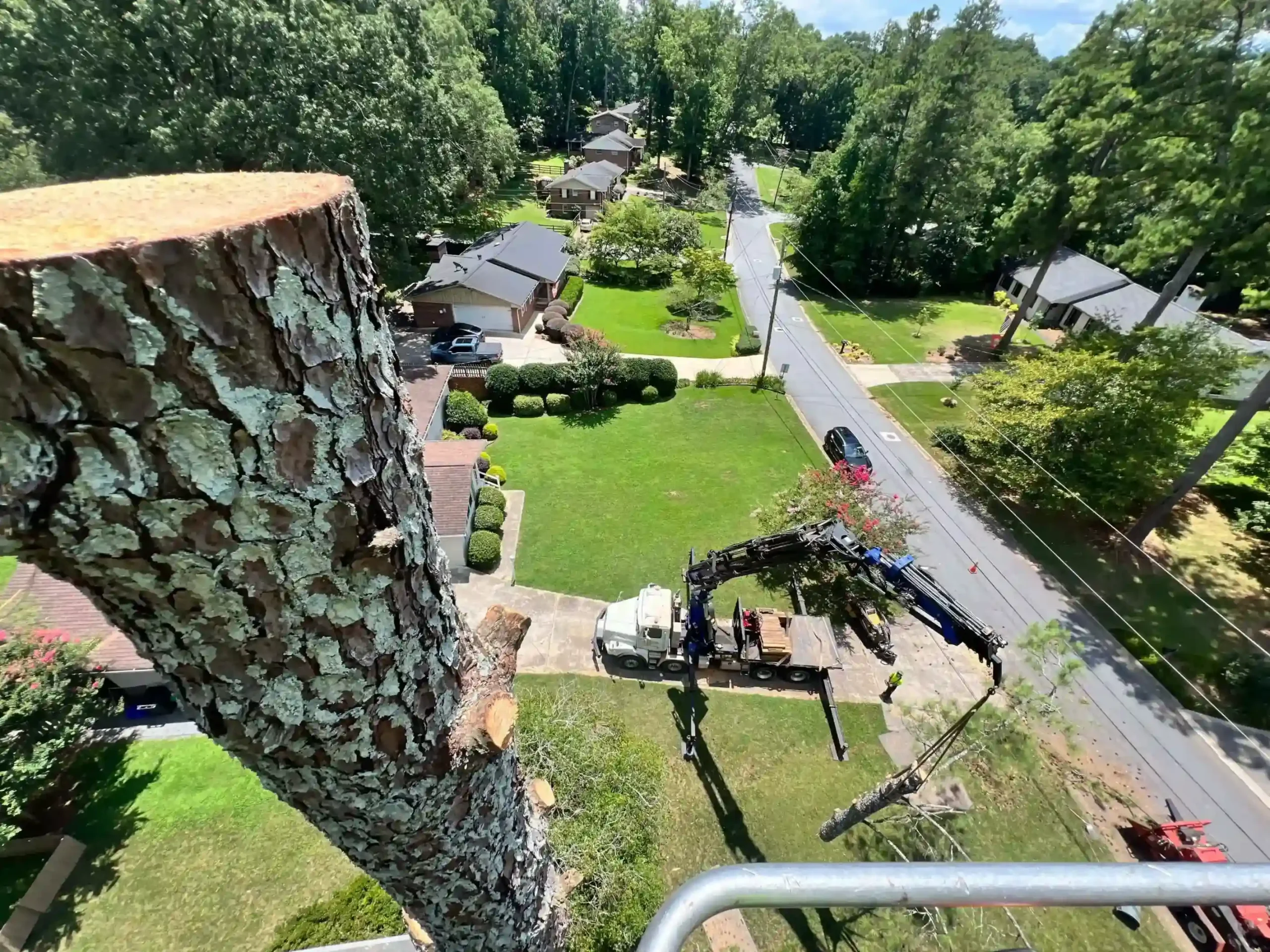 Large tree removal in Cobb County GA with no lawn damage