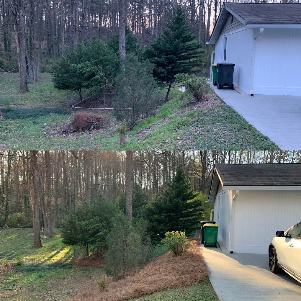 Leading Tree Removal in Marietta | Quality Diversified