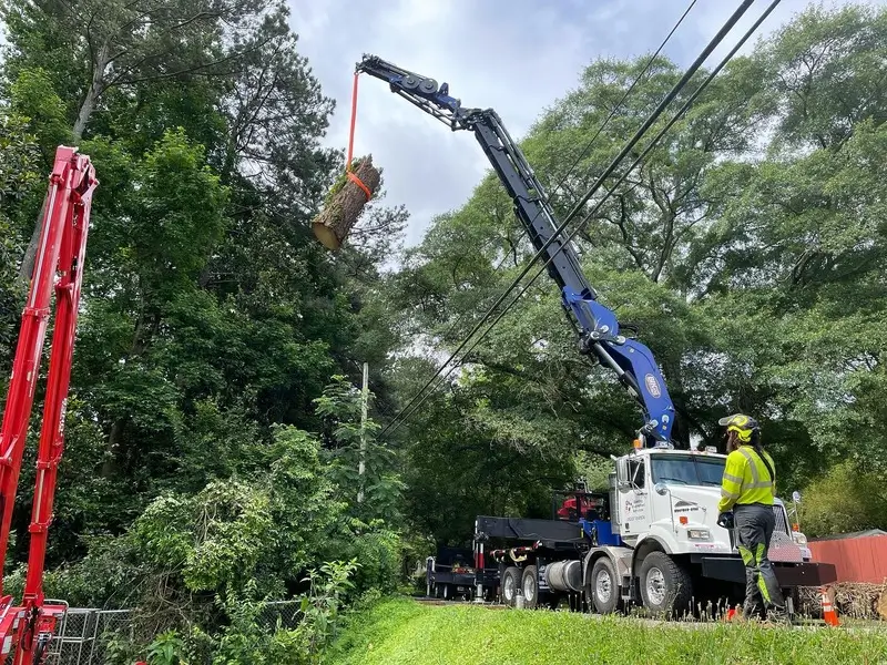 Professional tree service crew working safely in Cobb County GA