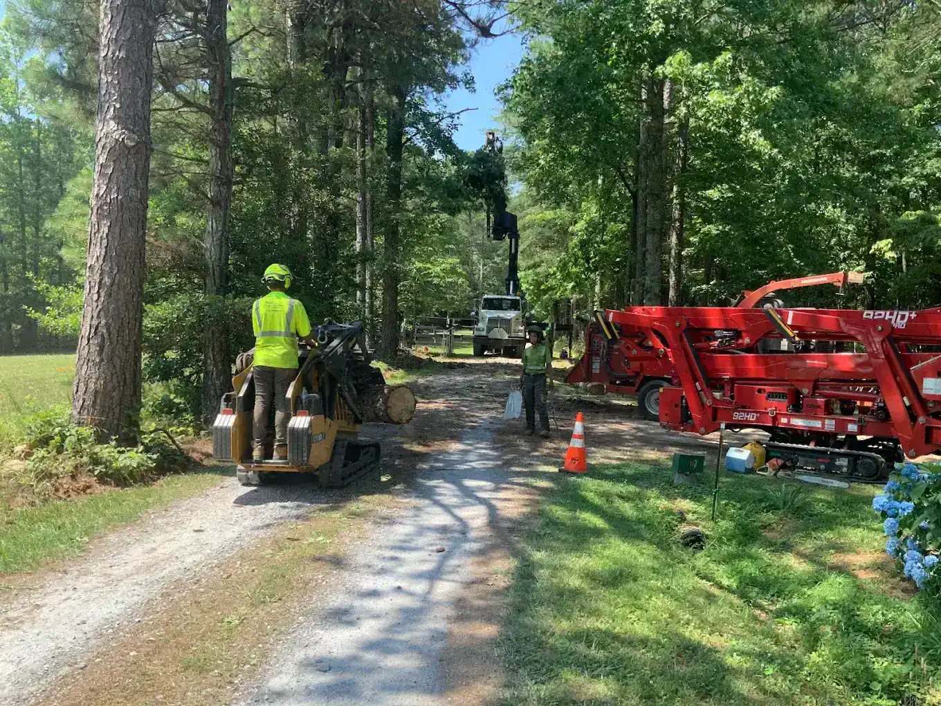 Trusted Tree Removal in Douglasville | QDS TreeWorx