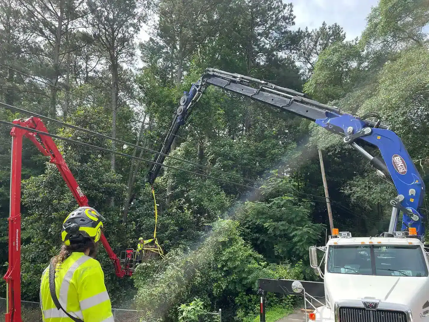 Four tree removal service in Cobb County GA with zero damage