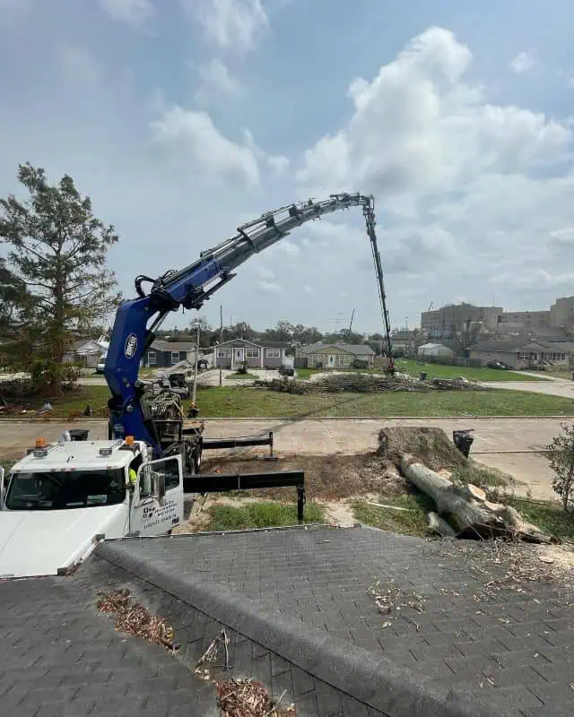 Tree service crew working in Cobb County GA neighborhood