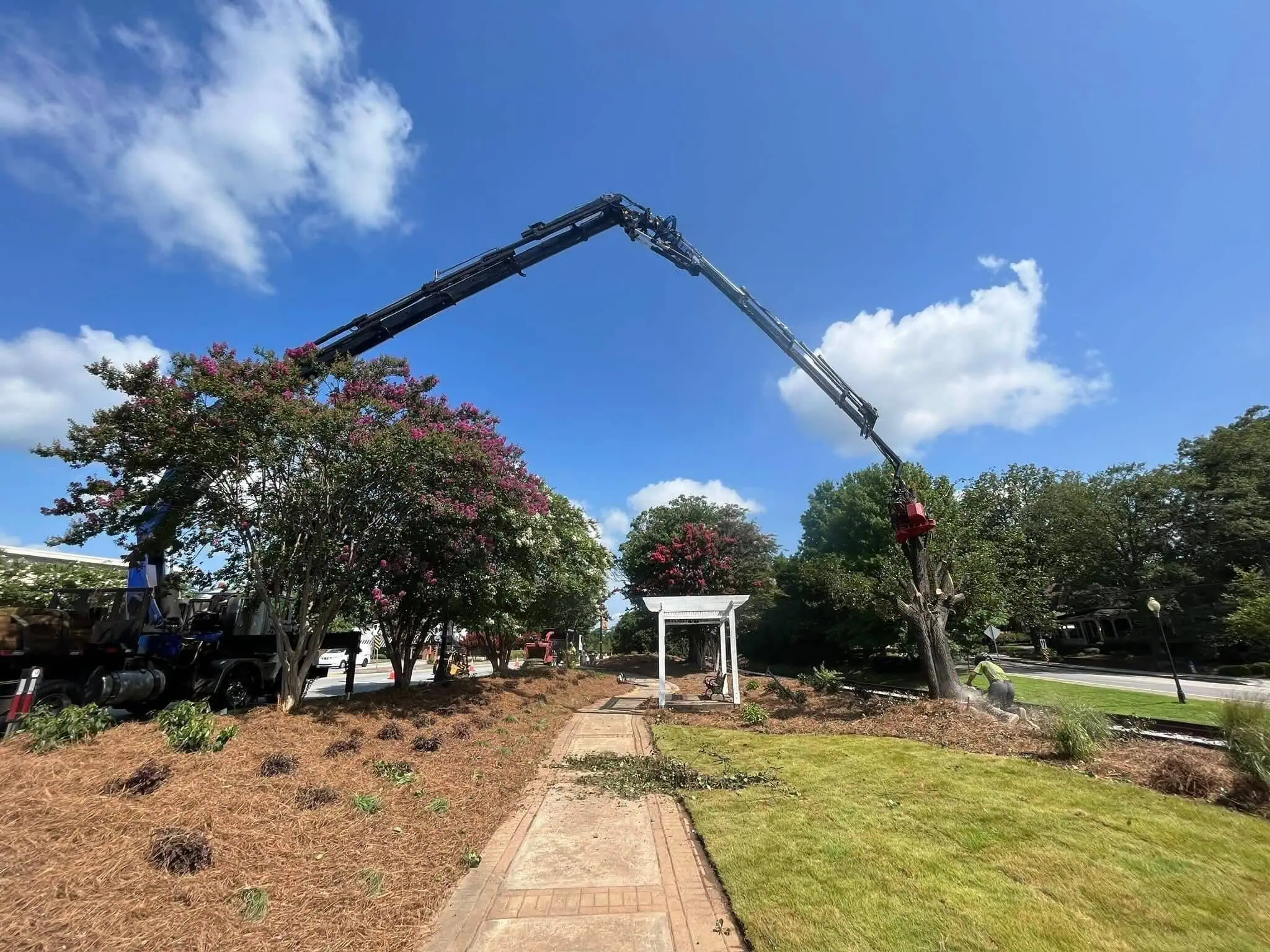 Professional tree service crew completing safe tree work in Cobb County GA