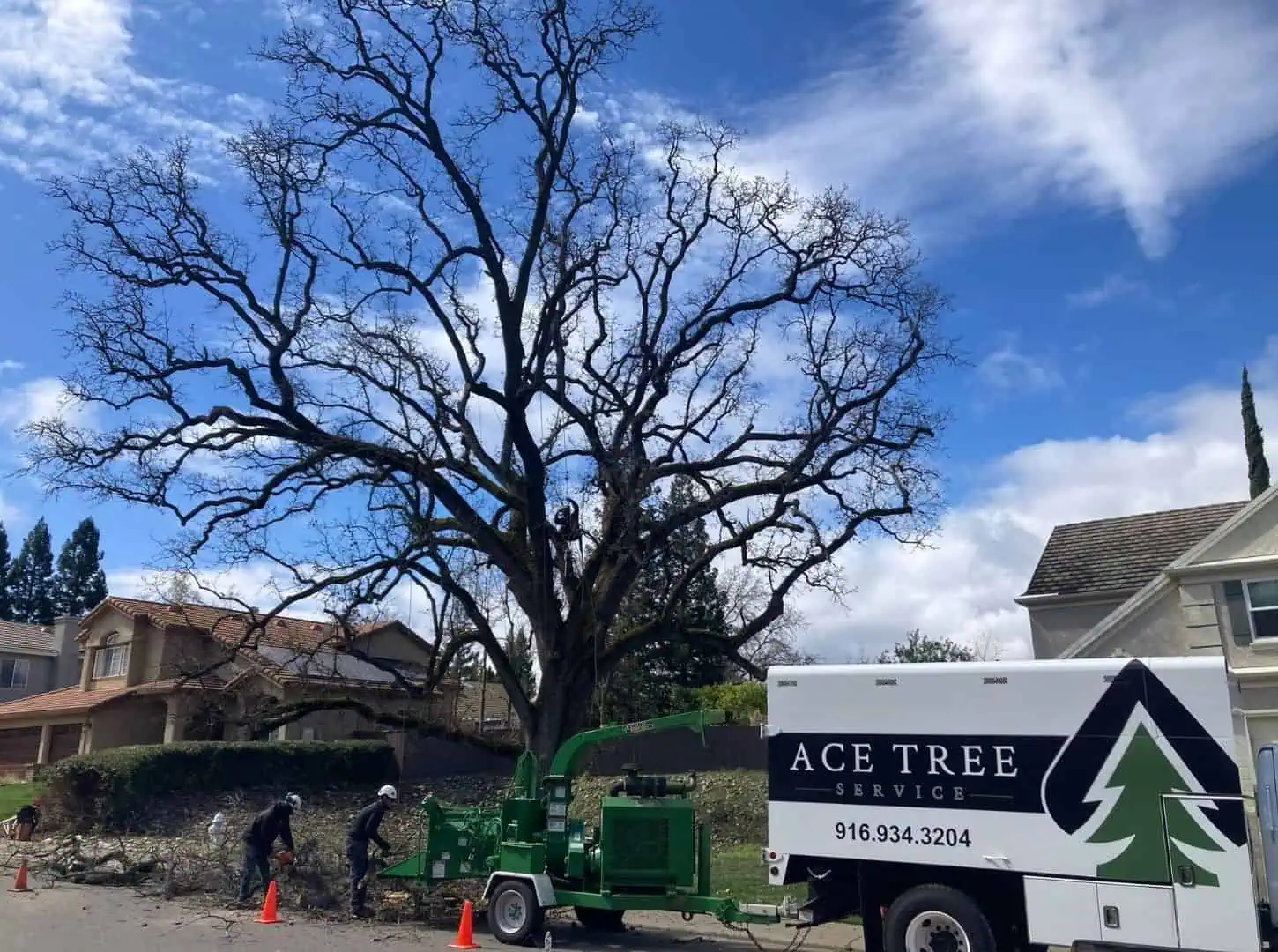 Professional tree service crew completing cleanup after tree work in Cobb County GA