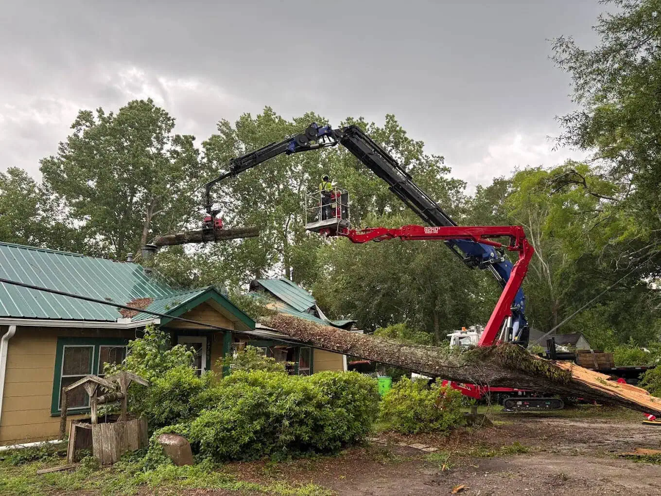 Emergency tree service in Cobb County GA removing fallen tree