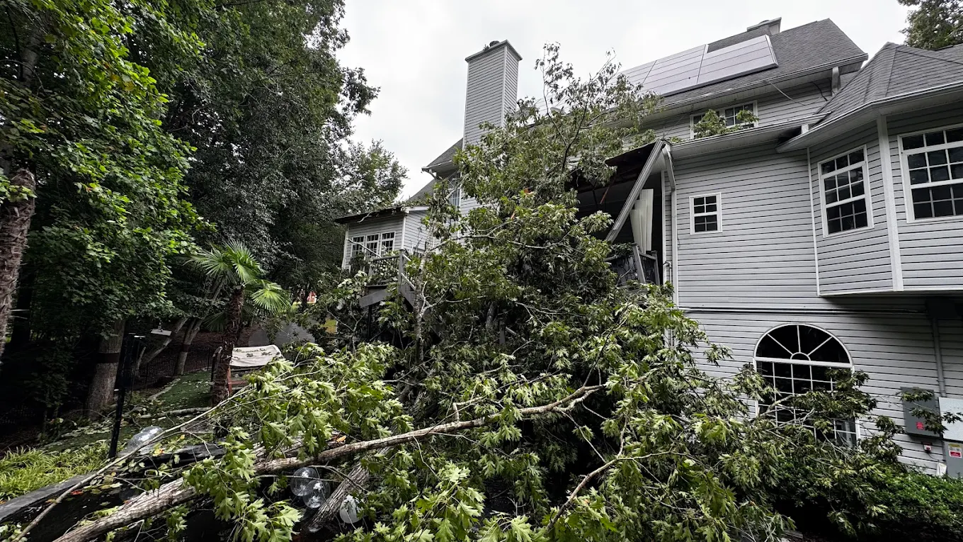 Large sweetgum tree removal in Cobb County GA