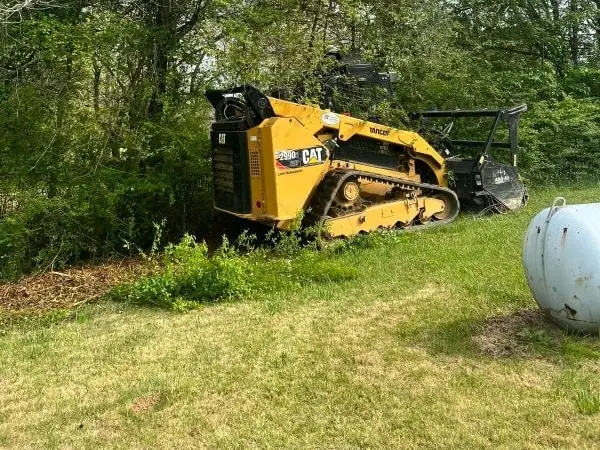 Tree debris cleanup in Cobb County GA with no ground damage