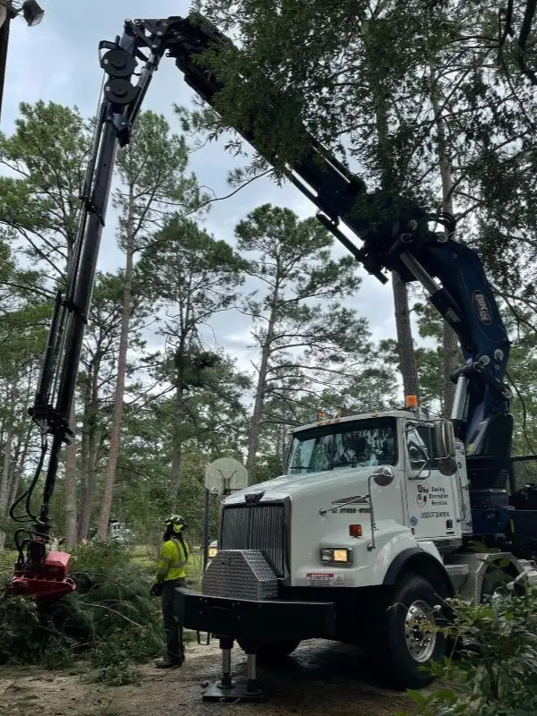 Complex tree operations with outstanding customer service by QDS TreeWorx in Douglasville Georgia