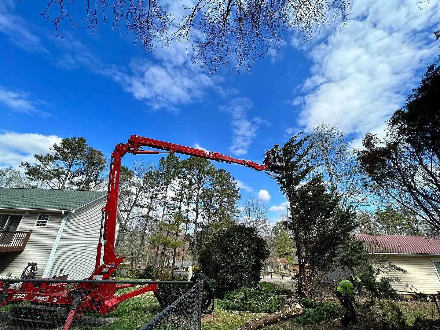 here's why you need to trim your trees